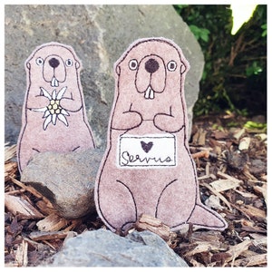 Bloemplugmarmot Xaver