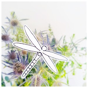 May include: A black and white line drawing of a dragonfly on a background of blue and green flowers.
