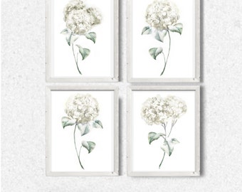 Juego de 4 pinturas de hortensias con estampados florales en acuarela, blanco y negro, arte minimalista, ilustración botánica, decoración para sala de estar, impresión grande