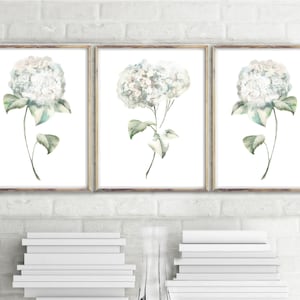 May include: Three framed watercolor prints featuring white and light blue hydrangea flowers with green leaves. The prints have a light brown frame and are displayed against a white brick wall. The prints are above a stack of white books.