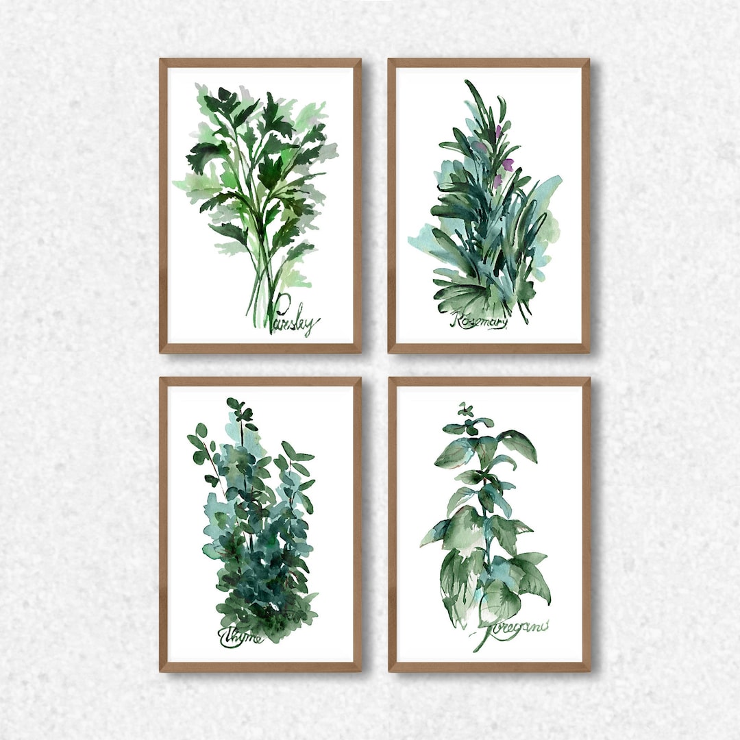 Kitchen Herbs Set 4 Prints Green Plant Parsley Rosemary Oregano Thyme ...
