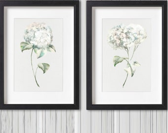 Hydrangea Prints Set 2, Flower Watercolor Painting, Black and White Floral  Illustration, Minimalist Art, Living Room Decor, Nursery Decor