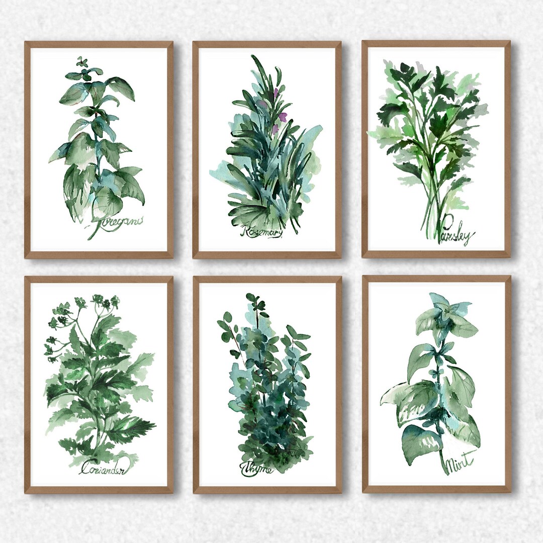 Herbs Prints Set of 6 Farmhouse Decor Kithen Wall Decor Botanical Print ...