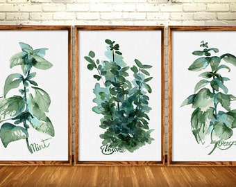 Kitchen Herbs Watercolor Set 3 Print Leaves Plant Thyme Rosmary Mint Painting Green Wall Decoration Botanical Poster Minimalist Illustration