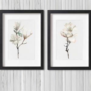 Pode incluir: Duas impress&otilde;es emolduradas em preto com um passe-partout branco, cada uma com uma pintura em aquarela de uma flor de magn&oacute;lia branca sobre um fundo branco.