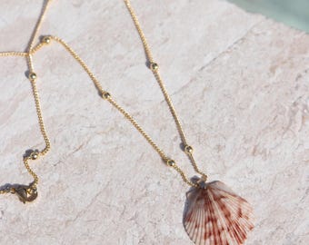 Real Seashell Necklace: 18K Gold Plated Chain, Handmade Coastal Jewelry