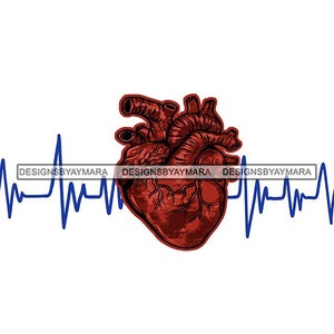 Ritmo cardíaco humano Ritmo de pulso Ritmo cardíaco Ritmo de pulsación Ciclo cardíaco Pulso cardiovascular SVG PNG JPG Diseño vectorial de corte de impresión