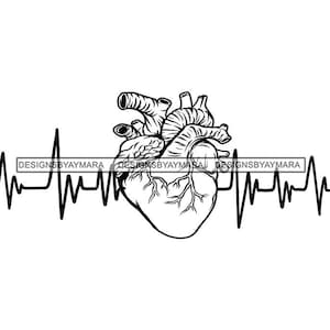 Latido del corazón humano fuerte Pulso Ritmo Ritmo cardíaco Ritmo de pulsación Ciclo cardíaco Pulso cardiovascular SVG PNG JPG Diseños de vectores de corte de impresión