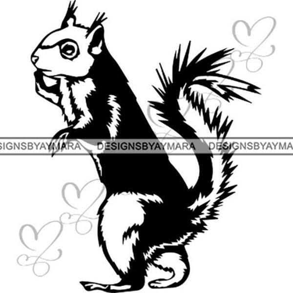 Squirrel Animal Cute Wildlife Nature Mammal Isolated Funny Rodent  .SVG .EPS .PNG Jpg Vector Clipart Cricut Silhouette Circuit Cut Cutting