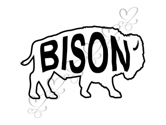 Bison Buffalo Nature Mammal Wild Animal Wildlife Bull Power Etsy