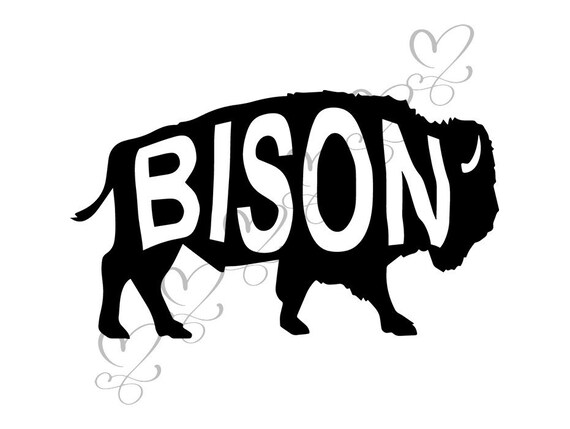 Bison Buffalo Nature Mammal Wild Animal Wildlife Bull Power Etsy