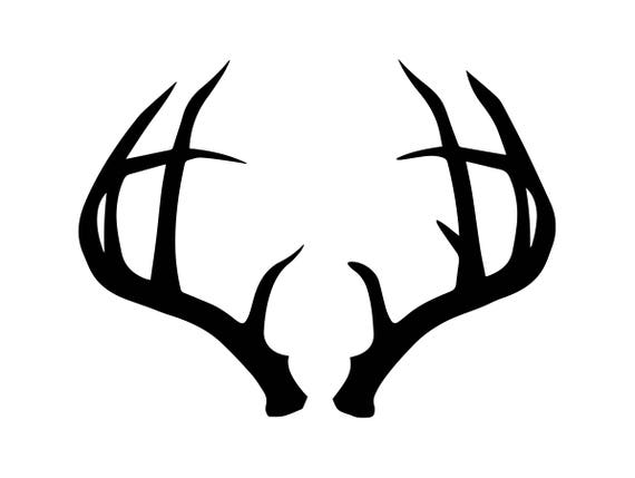 Download Deer Horn Antler Trophy Wildlife Nature Stag Horny Forest ...