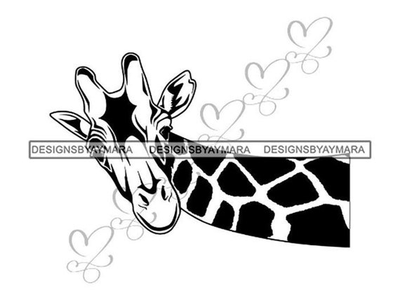 Giraffe Tier Afrika Lange Hals Safari Bizarre Staring Hoch Etsy