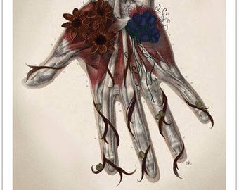 Beautiful anatomical  hand vintage style 1700's print Human body poster Medicine wall art vintage anatomy hand therapy gift