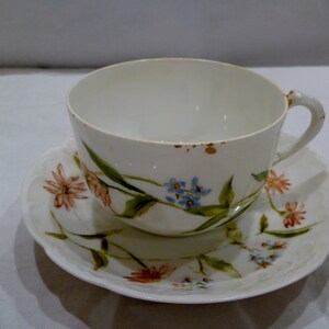 victorian teacup & saucer hand painted with flowers by Ms. Rice in 1893