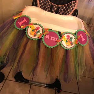 Multi Color High Chair Tutu