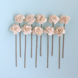 Farmhouse Sola Wood Flowers with Stems / Forever Flowers / Preserved Flowers / Dry Flowers