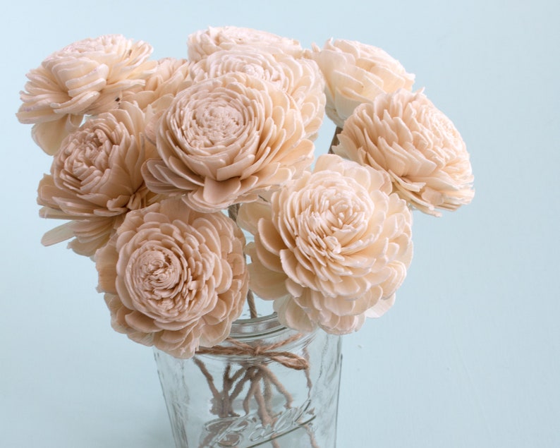 Sola Wood Flowers With Stems Etsy