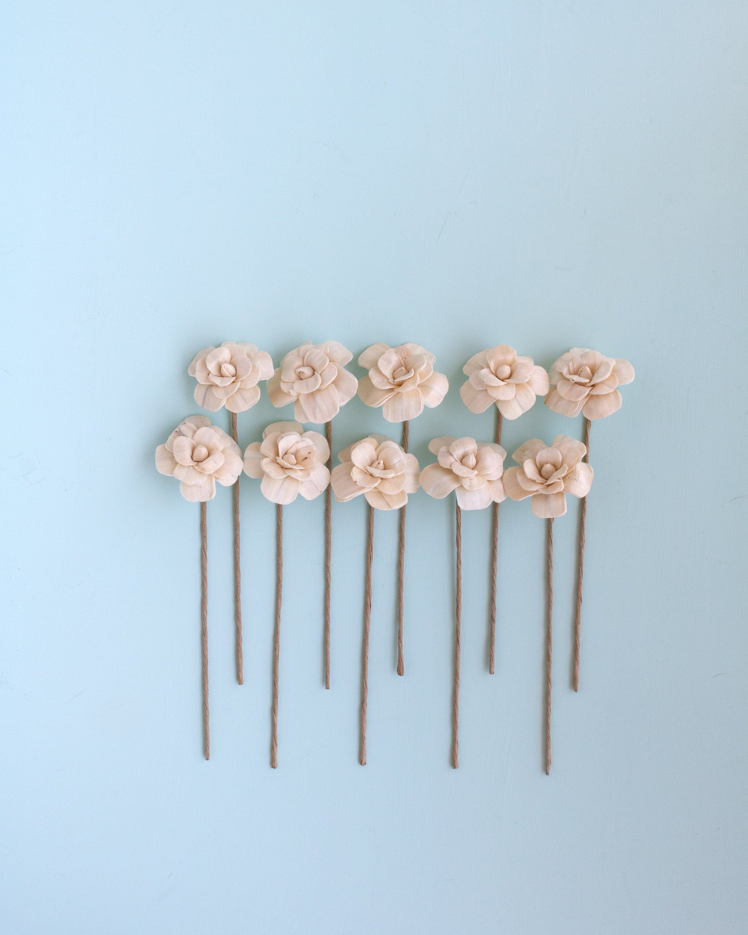 Farmhouse Sola Wood Flowers With Stems / Forever Flowers / Etsy