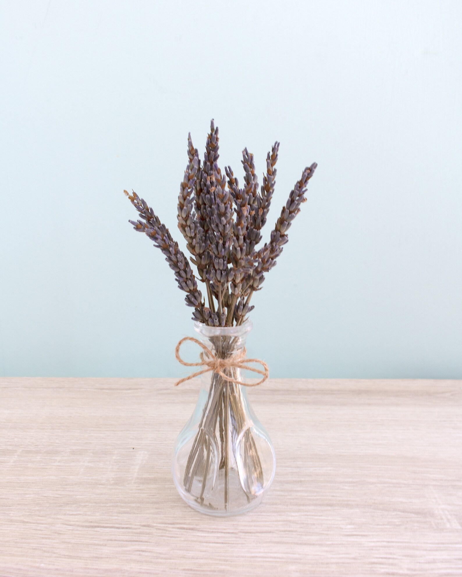 Dried Lavender Flowers in SMALL Bud Vase / Preserved Flowers / Etsy