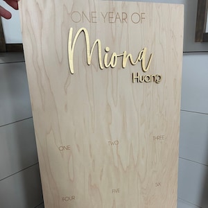 Personalized First Birthday Photo Board: Baby Milestone Sign