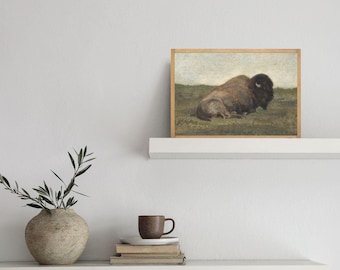 Vintage Bison Framed Wall Art | Rustic Cottage Decor