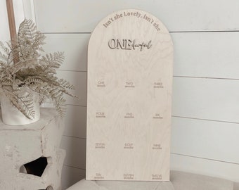May include: A light wood growth chart with a rounded arch top. The chart has the text "Isn't she lovely, isn't she ONEderful" at the top. The chart is divided into 12 sections, each labeled with a number from one to twelve, representing months.
