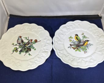 May include: Two white decorative plates with scalloped edges. Each plate features a detailed bird illustration. One plate has two birds perched on a branch with pine needles. The other plate has two yellow and green birds.