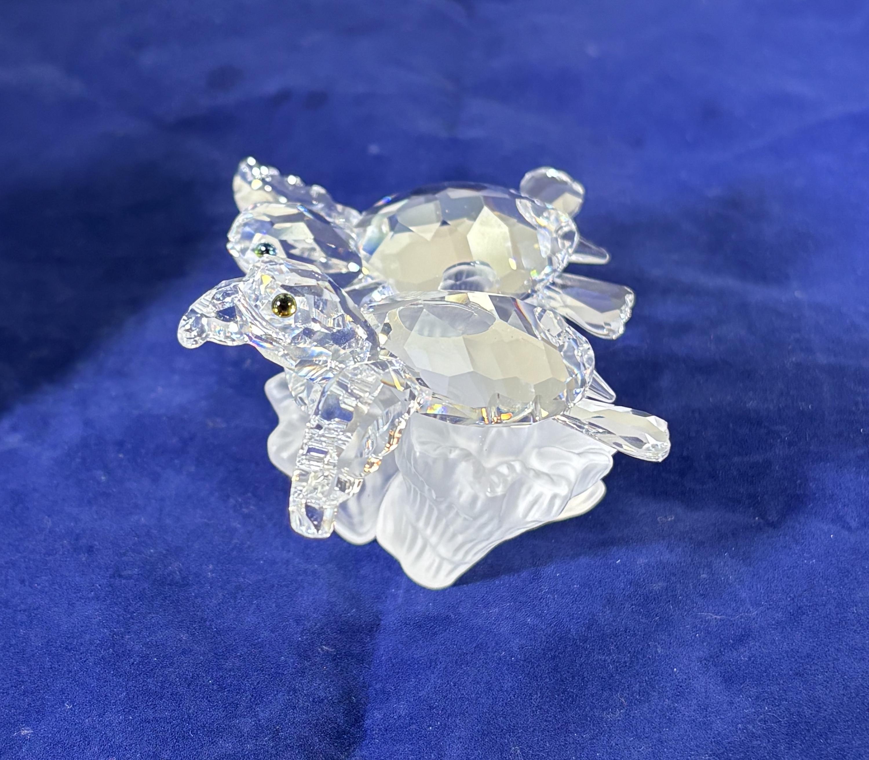 Vintage-swarovski-figurine-baby Sea Turtles-crystal-clear-frosted