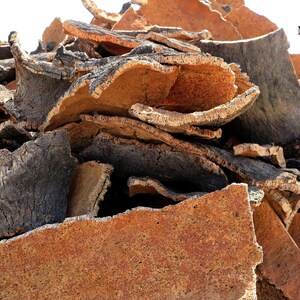 May include: A pile of rough, brown and black cork bark pieces. The bark is thick and has a textured surface.