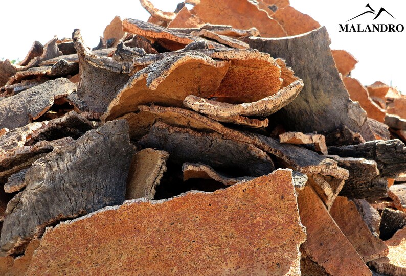 May include: A pile of rough, brown and black cork bark pieces. The bark is thick and has a textured surface.