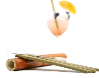 Bamboo straws / bamboo drinking straws with cleaning brush - robust - sustainable - reusable