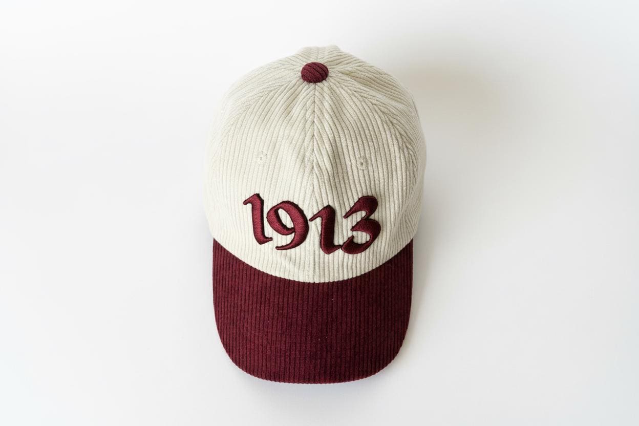 Delta Sigma Theta Baseball Cap - Etsy