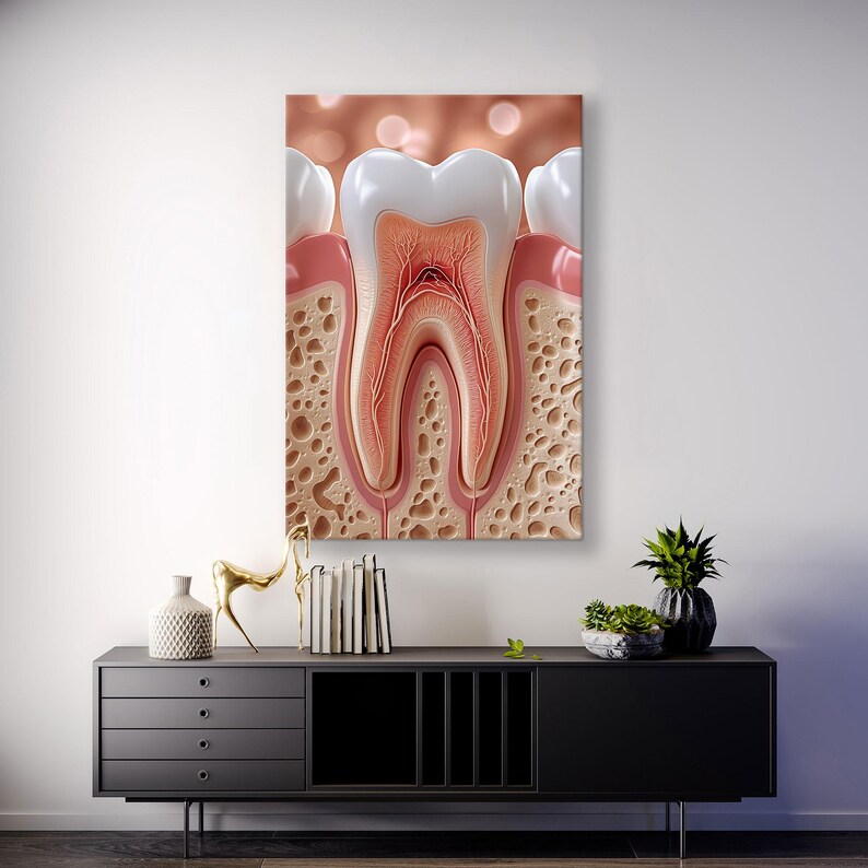 Dental Anatomy Canvas Print Structure of the Tooth Wall Poster