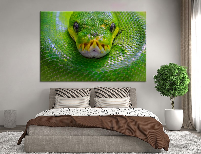 May include: A close-up of a green snake with its head and neck coiled. The snake has a bright green body with a textured, scaly surface. The snake's eyes are visible and have a black pupil.