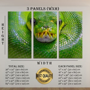May include: A three-panel canvas print featuring a close-up of a green snake with a yellow and white pattern. The snake is curled up and its head is visible in the centre panel. The print is available in various sizes, with the total size ranging from 90 cm by 60 cm to 210 cm by 140 cm. Each panel is available in sizes ranging from 30 cm by 60 cm to 70 cm by 140 cm. The print is guaranteed to be of the best quality.