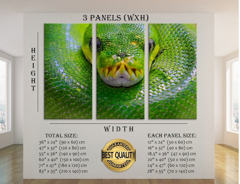 May include: A three-panel canvas print featuring a close-up of a green snake with a yellow and white pattern. The snake is curled up and its head is visible in the centre panel. The print is available in various sizes, with the total size ranging from 90 cm by 60 cm to 210 cm by 140 cm. Each panel is available in sizes ranging from 30 cm by 60 cm to 70 cm by 140 cm. The print is guaranteed to be of the best quality.