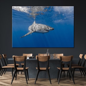Shark Art Shark Canvas Shark Decor Shark Wall Decor Shark Wall Art Shark Panel Art Shark Print Art Shark Canvas Print Shark Printabel Art