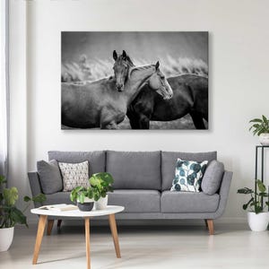 Friendship Canvas Horses Canvas Print Wall Art Horses Wall Decor Nature Canvas Wall Art Print Artwork Print Art Animals Print Art for Wall