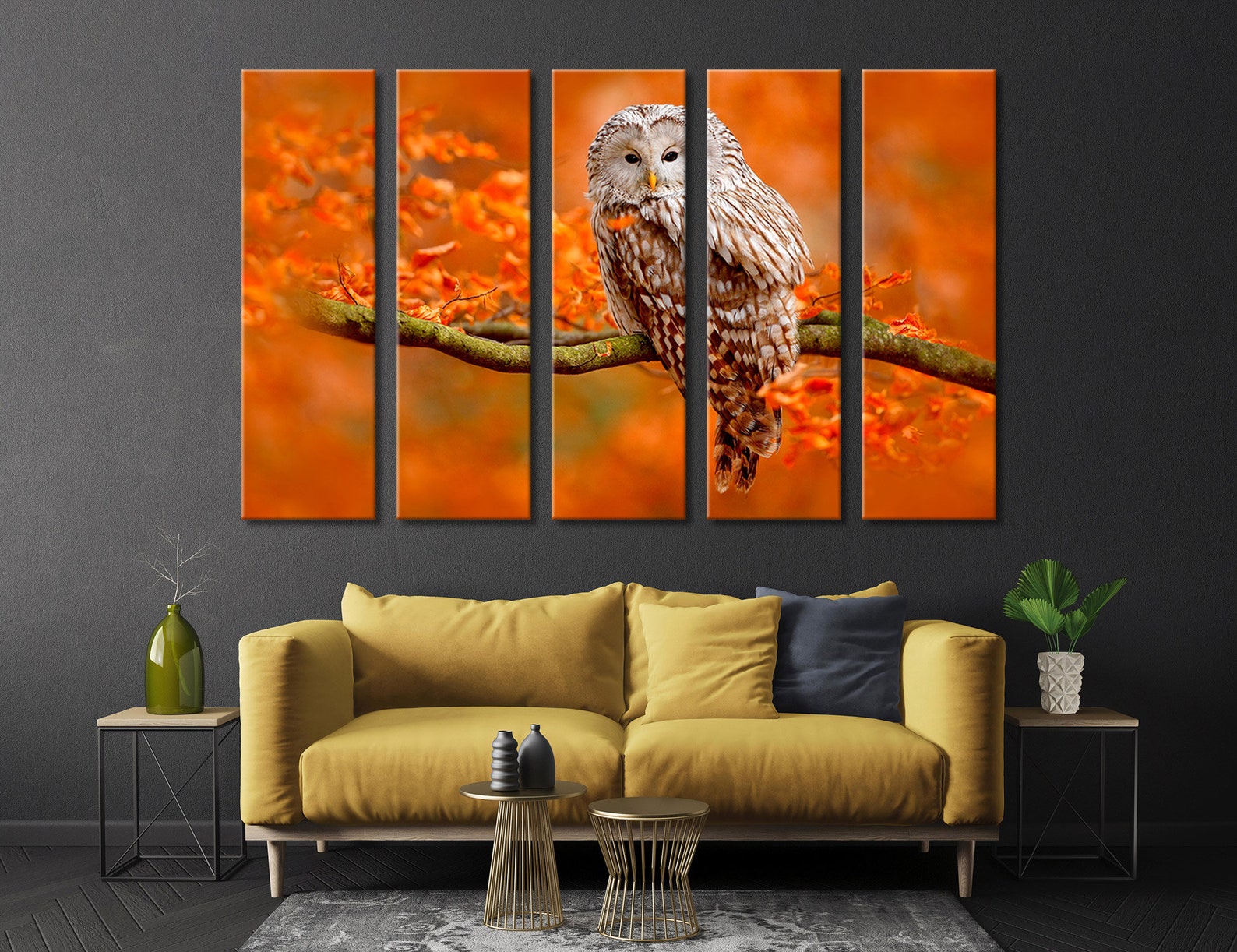 Colorful Photo of an Owl Wall Art Owl in the Wild Wall Decor Etsy