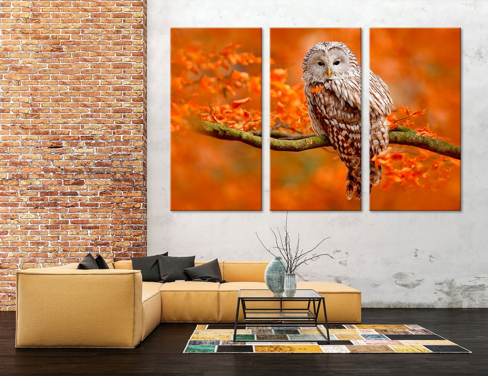 Colorful Photo of an Owl Wall Art Owl in the Wild Wall Decor | Etsy