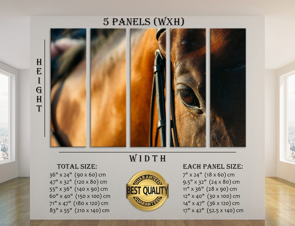 Horse Eye Wall Art Horse Wall Decor Horse Canvas Horse Print Etsy