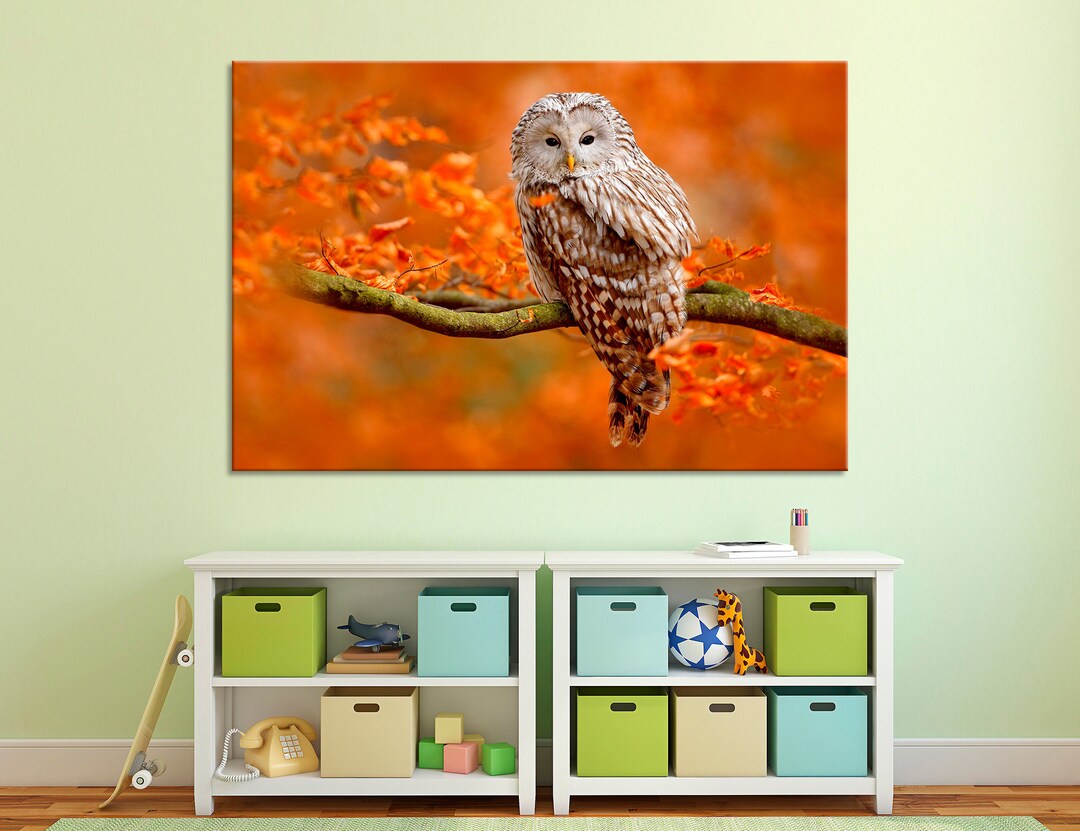 Colorful Photo of an Owl Wall Art Owl in the Wild Wall Decor Etsy