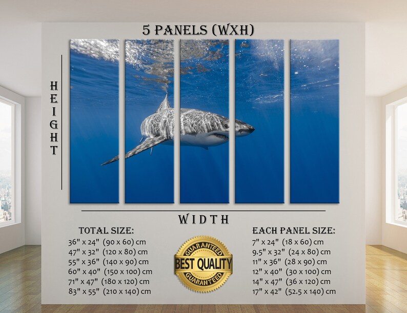 Shark Art Shark Canvas Shark Decor Shark Wall Decor Shark Wall Etsy