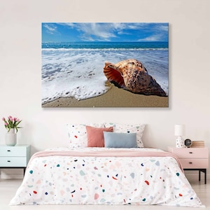 Coastal Zen Canvas Wall Art, Shell Canvas Print