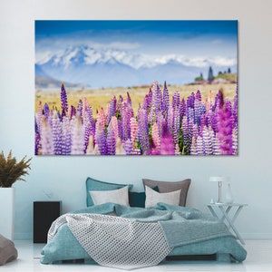 May include: A field of purple and pink lupin flowers in bloom with a snow-capped mountain range in the background.