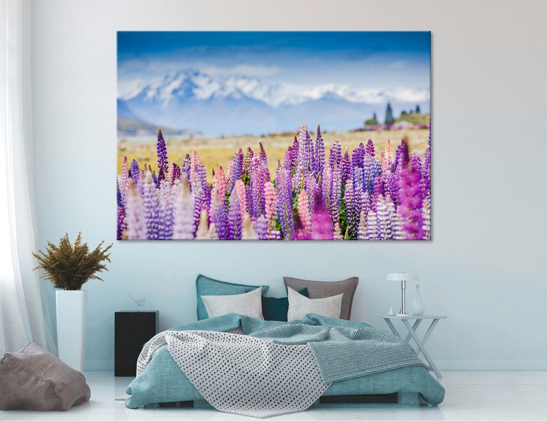 May include: A field of purple and pink lupin flowers in bloom with a snow-capped mountain range in the background.