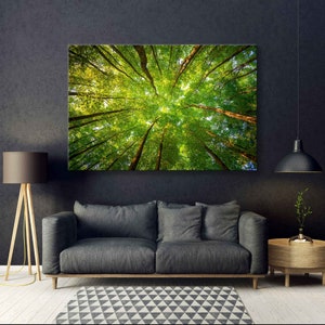 Grüner Wald Baumkronen, Wald Art Set, Wald Leinwand, Wald Poster, Wald Druck, Laubwald Leinwand, Landschaft Bäume