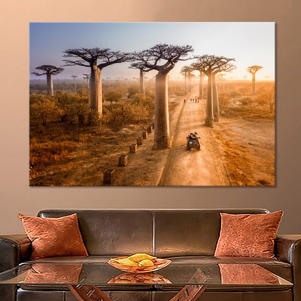 Beaux baobabs photo arbres toile mur art arbres toile décoration murale arbres affiche arbres imprimer arbres photo Madagascar toile impression art