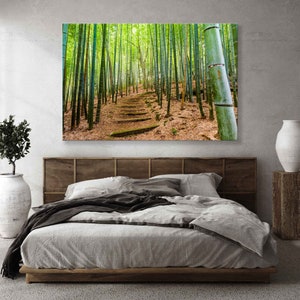 Puede incluir: Una fotograf&iacute;a de un sendero a trav&eacute;s de un bosque de bamb&uacute;. El sendero est&aacute; hecho de escalones de piedra y conduce hacia arriba de una colina. Los tallos de bamb&uacute; son altos y verdes, y la luz del sol se filtra a trav&eacute;s de las hojas.
